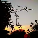 Bettina * 奥林匹亚达