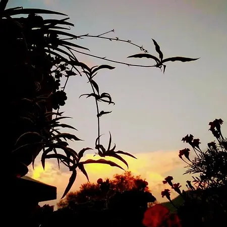 Bettina * Ολυμπιάδα