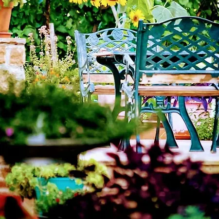 Дом отдыха Bettina *