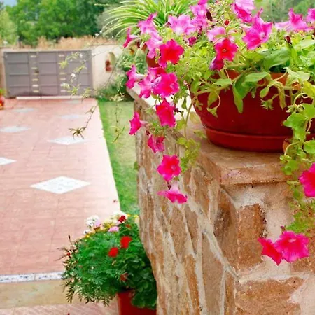 Bettina * Олимпиада